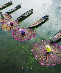 Mekong delta tours