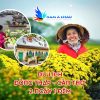 Western region tour Dong Thap - Can Tho 2 Days 1 Night
